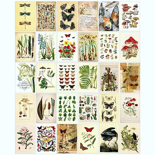 LCLAIDYDY Vintage Postcards for Mailing,Set of 30 Post Cards 4x6,Butterfly Mushroom Botanical Cottagecore Ephemera Postcard Pack for Wall Collage Collection