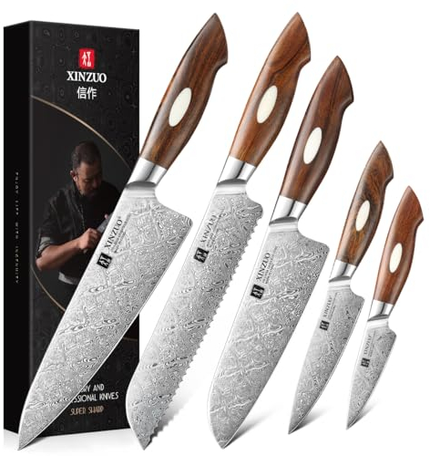 XINZUO Küchenmesser Set 5er 110 Schichten Damaststahl Profi Kochmesser Set, Damaskus Chefmesser Set Handgeschmiedet, Nordamerika Desert Ironwood Griff, Für Fleisch, Gemüse, Obst, Brot