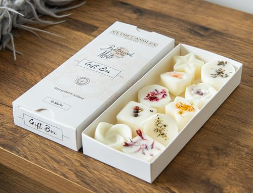 Clyde Candles Botanical Wax Melts – Hand-Poured, Eco-Friendly Soy Wax Melts with Natural Botanicals, Long-Lasting Premium Fragrance – Gift Box of 10 Melts