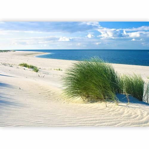 murando Photo Wallpaper Sea and Beach 400x280 cm / 157.5 x 110.2