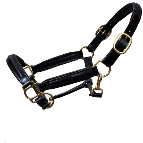Premium Leather Horse Black Headcollar Halter With Fully Raised And Padded Adjustable with Brass Fittings (Shetland)
