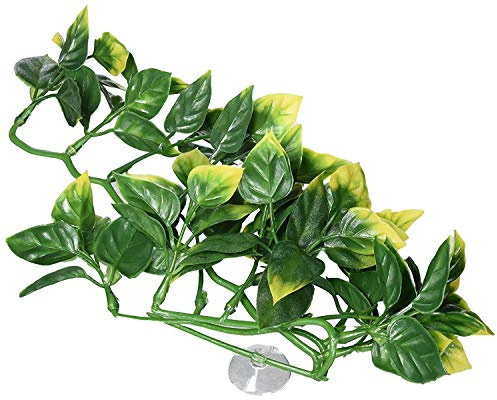 Exo Terra Plastic Amapallo Plant, Small