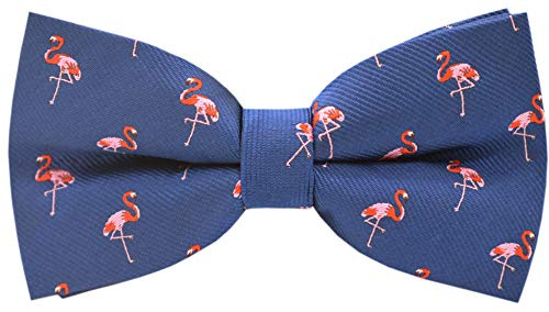 Carahere Men's Bow Ties Pre-Tied Adjustable Fun Pattern Bow Ties for Men Fire Red