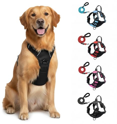 Geschirr, Anti-Zieh Hundegeschirr mit Step-in Design – Atmungsaktiv & Gepolstert – Für entspanntes Spazierengehen – Kontrolle ohne Ziehen – Für Hunde jeder Größe (Black M)