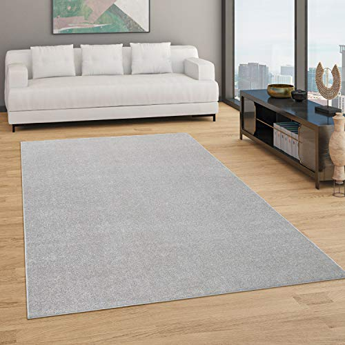Paco Home Teppich Wohnzimmer Schlafzimmer Esszimmer Kurzflor Moderne Optik Einfarbig Pastell, Grösse:80x150 cm, Farbe:Silber