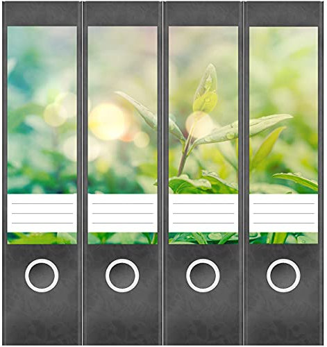 Etiketten für Ordner | Blätter in der Sonne | 4 breite Aufkleber für Ordnerrücken | Selbstklebende Design Ordneretiketten Rückenschilder