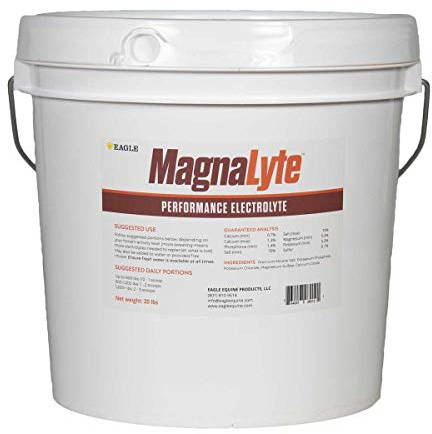 MagnaLyte Loose Salt and Electrolytes for Horses by Eagle Equine | Mineral sea Salt, Trace Minerals, Electrolytes | 20 Pound Bucket