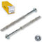 STRÜBER Rahmendübel mit Sechskantschraube & Scheibenkopf mit SW/TX-Buchse (10x160 mm / 50 Stück) Torx - Fensterrahmendübel - Langschaftdübel - Wandrahmenbefestigung - Nylondübel - ETA Zulassung