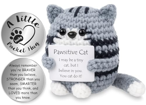 Tixlux Positive Cat Gifts, Handmade Crochet Positive Cute Knitted Cat, with Pocket Hug Lucky Charm, Good Luck | Emotional Support | Encouragement | Back to School | Birthday Gifts for Women Men