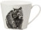 Maxwell & Williams DX0534 Kaffee-Tasse breit Wombat 450 ml – Porzellan – mit Schwarz-weiß Tier-Motiv, in Geschenkbox