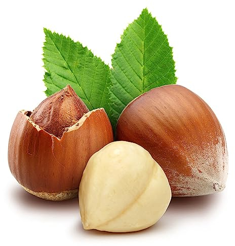 10 pcs haselnussstrauch samen - nuss winterharte balkonpflanzen haselnüsse haselnuss haselnussbaum Hazelnut, baumsamen kräutergarten geschenk bonsai topf seltene pflanzen bonsai baum