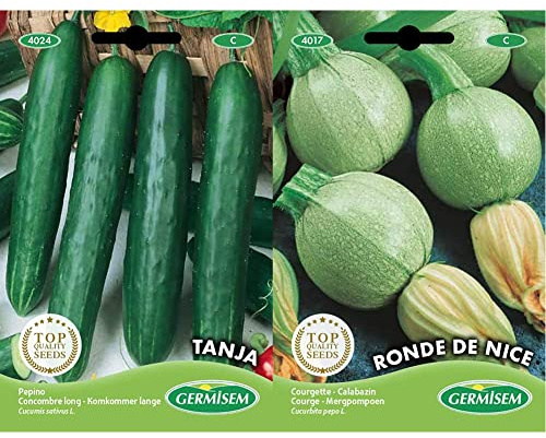 Germisem graines Concombre long TANJA & graines Courgette RONDE DE NICE - 3g