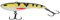Berkley Flatt Shad Pike Hecht, Perch Barsch Angelköder