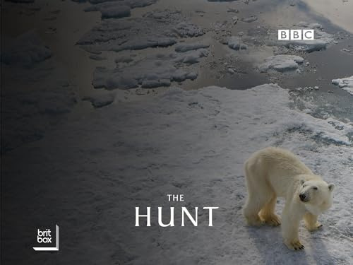 The Hunt