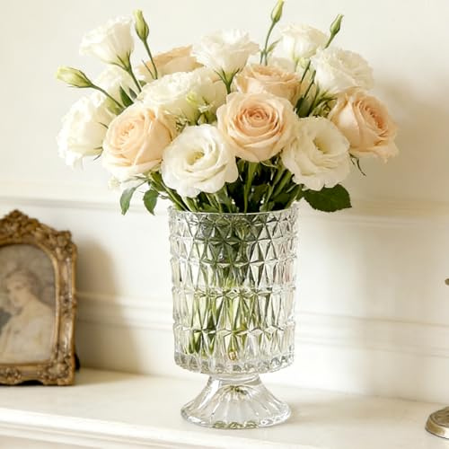BLOFLO Florero de Cristal en Relieve, 18 cm, de Cristal, Pedestal con Base Grande, jarrón de Vidrio, jarrón Transparente hidropónico para el hogar, Oficina, Boda, Mesa de Comedor y Fiesta (patrón de
