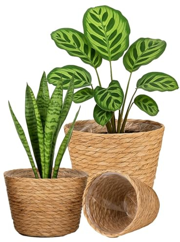 Panier Plante en Herbe de Mer Intérieur – Set de 3 Pots en Osier avec Doublure Plastique pour Décoration Maison