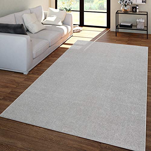 TT Home Wohnzimmer Teppich Kurzflor Unifarbendes Design Modern Und Zeitlos, Farbe:Silber, Größe:140x200 cm