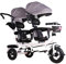 3-in-1-Kleinkind-Dreirad mit abnehmbarem Schiebegriff, drehbarem Sitz und klappbarem Verdeck – sehr gutes Geschenk for Zwillinge im Alter von 2–5 Jahren. Sicher und bequem mit verstellbarem Gurt und S