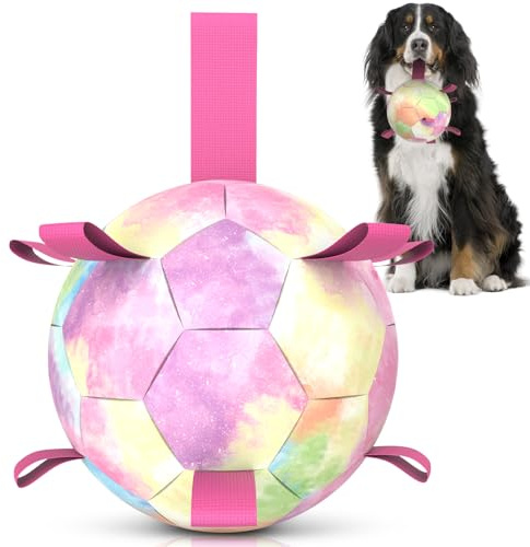 HETOO Hundboll hundleksak boll med rep hundfotboll (XL rosa) | Interaktiv hundboll för turing, hållbar hög hopp, flytande boll för hundar, födelsedagspresenter, inomhus, utomhus
