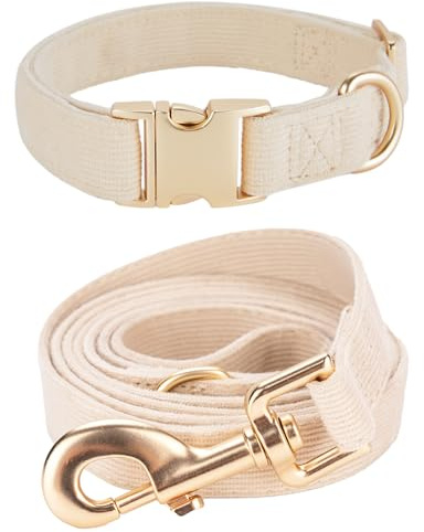 YUDOTE Set di Collare e Guinzaglio per Cani di Taglia Media, Morbido Collare e Guinzaglio in Corduroy Non Irritante, Combinazione Abbinata per Passeggiate Quotidiane, Bianco Crema
