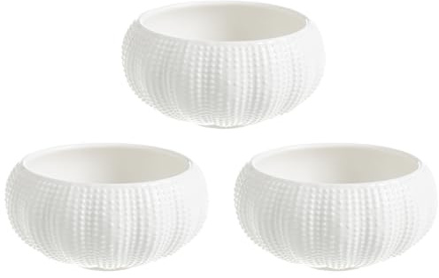 3 STK Keramikschale Schüssel Seeigel Weiße Schalen Gewürzgericht Porzellan-tauchschalen Gewürzschale Für Die Küche Kleine Mischung Snack Küchenschüsseln Meer Mini Baby Puddingschüssel Keramik