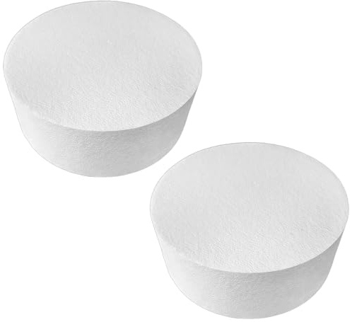 Sacolin Round Foam Discs, 2 Pcs 8 in Styrofoam Cake Dummies for DIY Decorating, Ideal for Weddings, Parties and Crafts