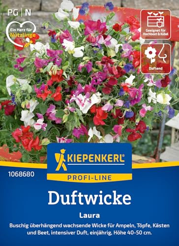 Kiepenkerl Duftwickensamen Laura 1068680, Blumensaat