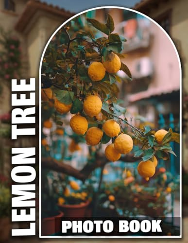 Lemon Tree Photobook