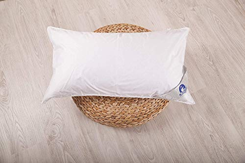 Nordream Almohada Plumón-Pluma Nature Doble Funda (40x70 cm)
