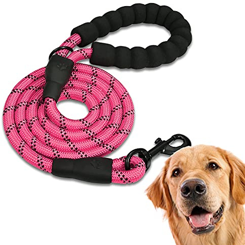 EDIPETS, Laisse Chien, Laisse de Dressage pour Chien, Rembourrée, Poignée Souple, Corde pour Chiots et Petits, Moyens et Grands Chiens, 1,2 et 1,5 mètres. (1.5 M, Rose)