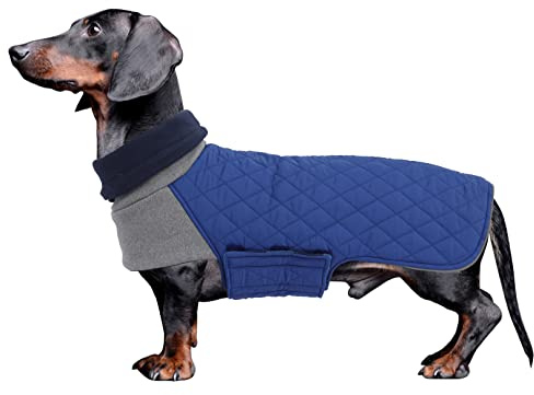 Geyecete- Abrigo Teckel,Chaqueta de Perro de Invierno,Abrigo Impermeable para Teckel Mini,Perro Salchicha Jersey con Agujero arnés,Térmico Pullover para Teckel Miniatura/Teckel estàndard-Azul-M