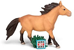 tonies Hörfiguren für Toniebox, was IST was – Wunderbare Pferde/Reitervolk Mongolen, Wissens-Hörspiel für Kinder ab 6 Jahren, Spielzeit ca. 79 Minuten