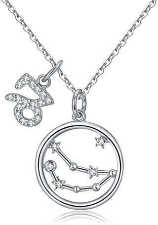Qings Zodiac Pendant Necklace 925 Sterling Silver Capricorn Delicate Gorgeous Disc Horoscope Necklace Young Adult Personal Gifts