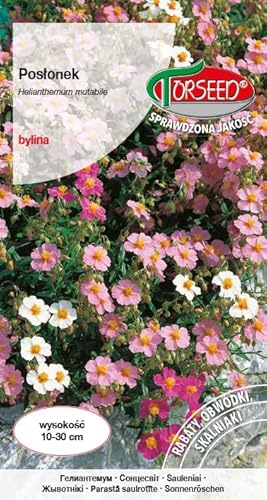 Verdica Semillas mutabiles Helianthemum multicolores – Espectacular cobertura perenne perfecta para rocallas y parterres, resistente a la sequía, pleno sol, 10 – 30 cm de altura (1 gramo)