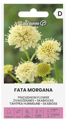 Zalia Stotele | Escabiosa - FATA MORGANA | Semillas de flores | Semillas de plantas | Semillas de jardín | Flores anuales de fragancia agradable | 1 paquete