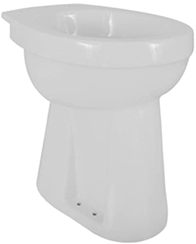 Saqu Ecoline Hängetoilette mit Spülung und vertikalem Abfluss 45,5 cm Weiß