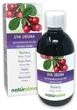 Gayuba o Uva ursi (Arctostaphylos uva ursi) hojas Tintura Madre sin alcohol Naturalma - Extracto líquido gotas 500 ml - Complemento alimenticio - Vegano