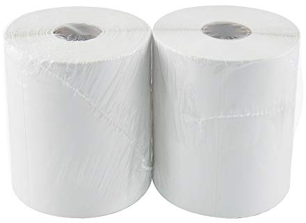 L LIKED Direct Thermal Labels with 250 Labels/Roll, Shipping Label 4 x 6(101x152mm), Compatible with Zebra, MUNBYN, Rollo (2 Rolls)