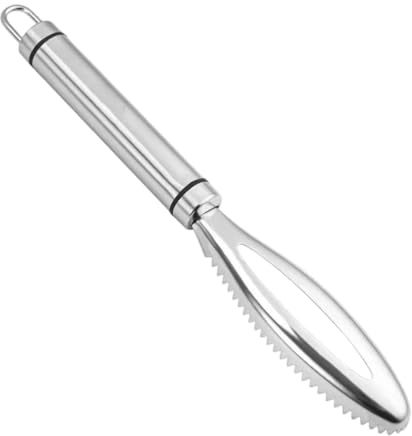 YAZWUR 1 Pcs Écailleur Poisson en Acier Inoxydable Outil de Nettoyage Rapide pour Cuisine et Marchés de Fruits de Mer (Système à Dentelures)