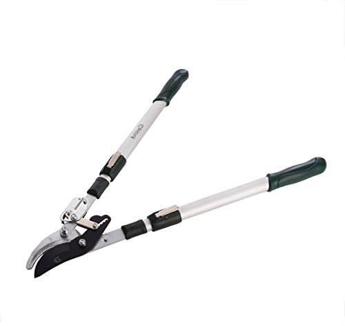 Bulldog BD3110TA Premier Bypass Ratchet Lopping Shears