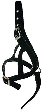 Y-H Hy Foal Slip Halter, Black