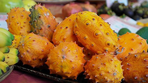 Kiwano Seeds (Cucumis metuliferus) Jelly Melon - Feast for Your Taste Buds:)