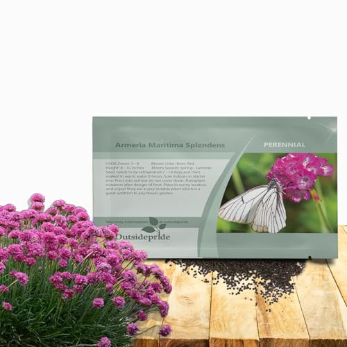 Outsidepride Splendens Armeria Flower Seeds - 2000 Pcs Perennial, Low-Maintenance Ground Cover Flower Seeds, Vibrant Rose-Pink Blooms for Butterfly Garden Seeds, Outdoor Landscaping & Cut Flowers