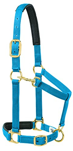 Weaver Leather Padded Adjustable Chin and Throat Snap Halter, 1 Average Horse or Yearling Draft, Solid Blue