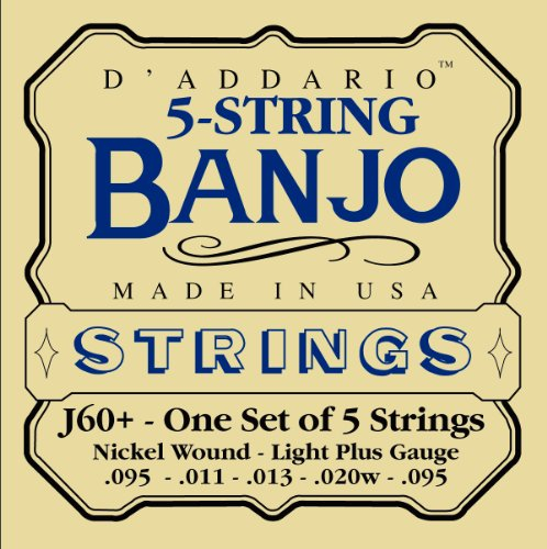D'Addario Banjo Saiten EJ60+ 09-20 5-String Nickel Loop End - Saiten