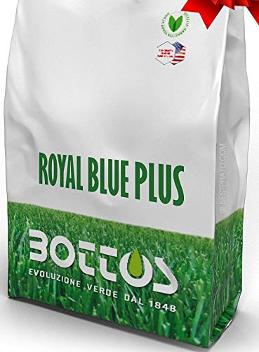 BOTTOS ROYAL BLUE PLUS KG 10