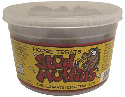 20 Ounce Stud Muffins Tub
