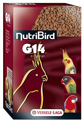 Versele-Laga Nutribird G14 | 1 kg | Erhaltungsfutter für Erwachsene Großsittiche | Extrudierte Pellets | Zur Unterstützung der Darmflora & des Gefieders | Von Tierärzten empfohlen