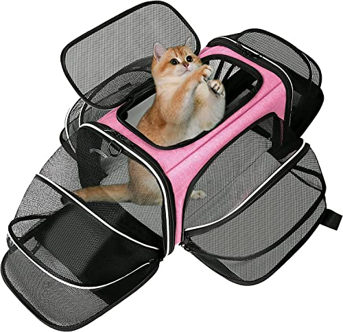 Estarer Haustiertasche Haustierträger für Katze und Kleine Hunde im Auto, Fugzeug oder in der Bahn, pink