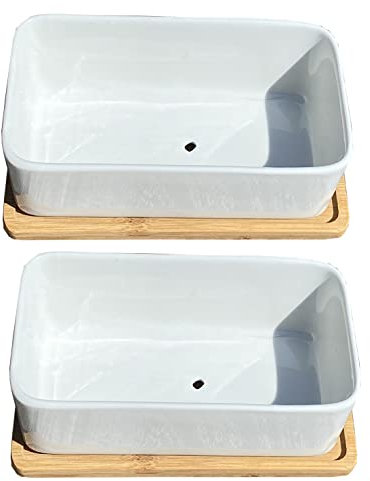 White Succulent and Cactus Trough Plant Pots (Set of 2), Outdoor, Small